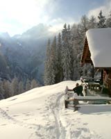 Top-Angebot, Spa Hotel Zedern Klang